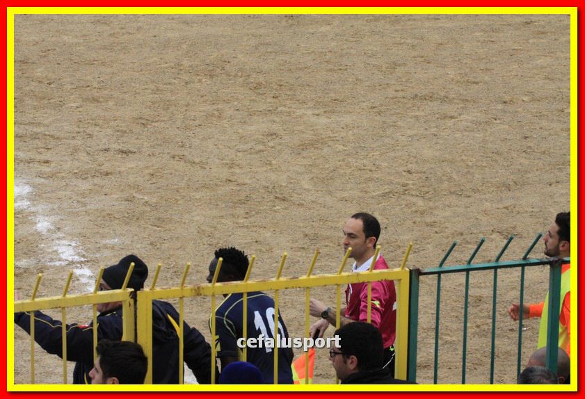 150321 stefanese 420_tn.jpg